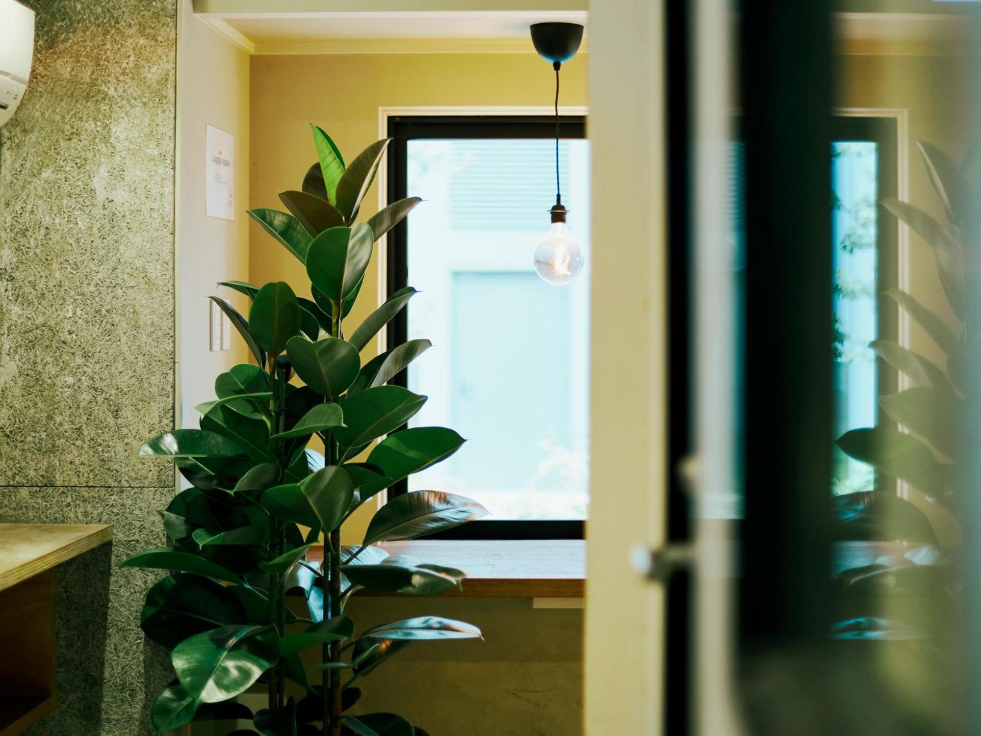 Akasaka Guesthouse Hive Tokyo Ngoại thất bức ảnh